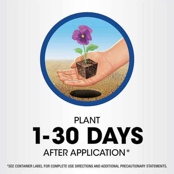 Imagen de producto 4